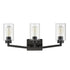 Bernina Industrial Black Bathroom Vanity Light Sconce 3-Light